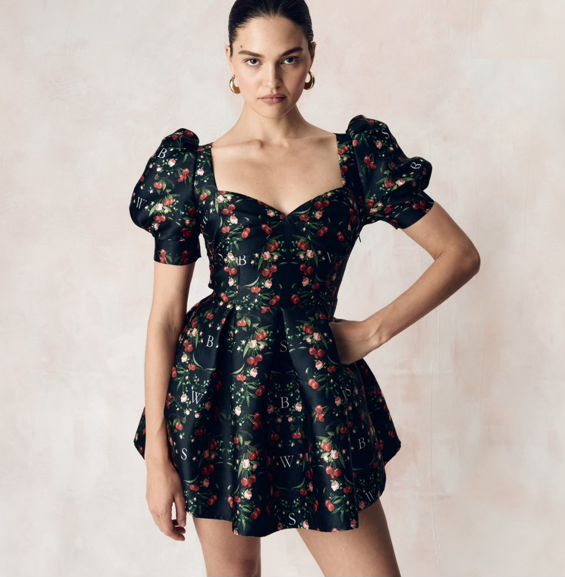 ВИШНЕВЫЙ САД