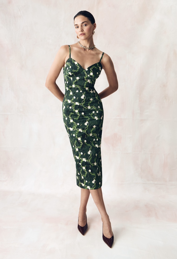 КОРОЛЕВСКАЯ РОЗА-Изображение