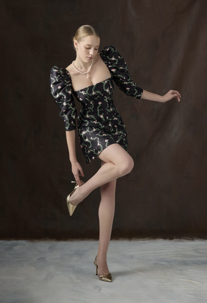 КОРОЛЕВСКАЯ РОЗА-Изображение